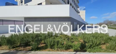 Piso en alquiler en Nuevo Bulevar, Nuevo Bulevar (Mairena del Aljarafe) de 1.000 €<span>/mes</span>