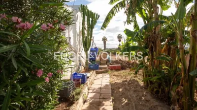 Rustic property in Sant Pau photo 12