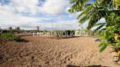 Rustic property in Sant Pau photo 13