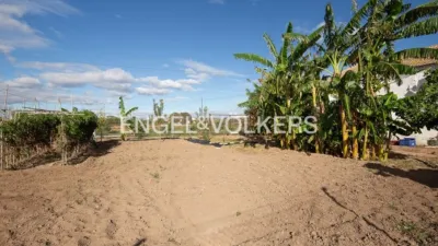 Rustic property in Sant Pau photo 14