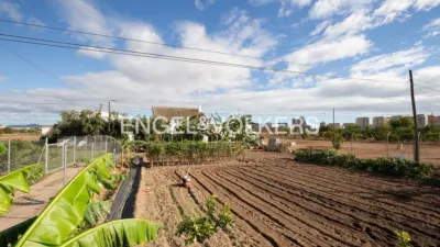Rustic property in Sant Pau photo 20