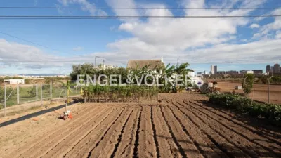Rustic property in Sant Pau photo 21
