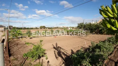Rustic property in Sant Pau photo 23