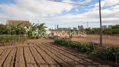 Rustic property in Sant Pau photo 24