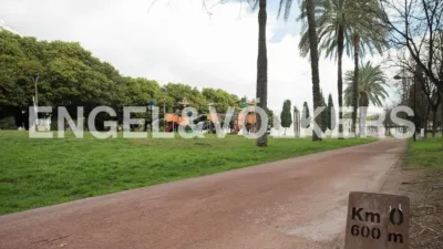 Rustic property in Sant Pau photo 44
