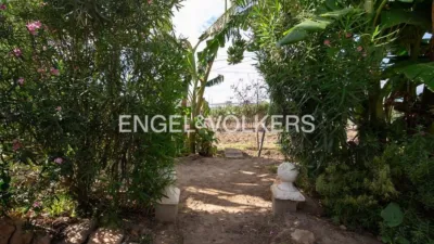 Rustic property in Sant Pau photo 5