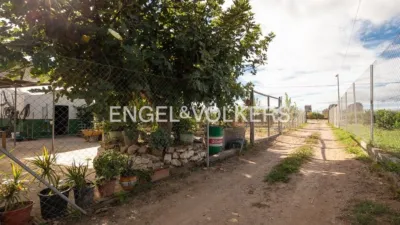 Rustic property in Sant Pau photo 8