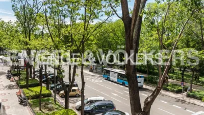 Piso en alquiler en Paseo del Rey - Imagen 24