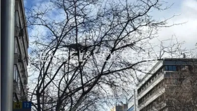 Piso en alquiler en Calle de María de Molina, cerca de Calle del Príncipe de Vergara - Imagen 22