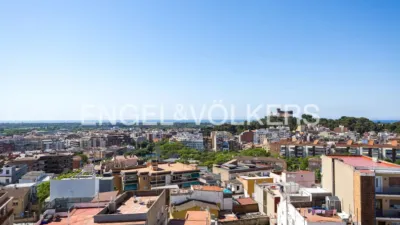 Apartment in Vista Alegre photo 39