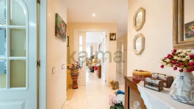 House on Carrer de Josep Puig I Cadafalch photo 12