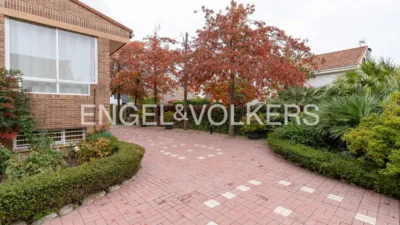 House in Los Ángeles-Jarandilla photo 56
