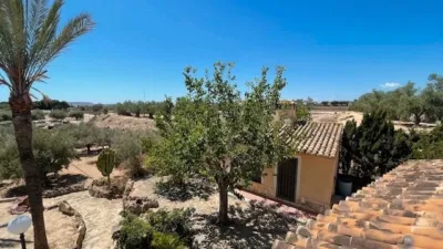 Chalet on Calle Partida del Raspeig photo 25