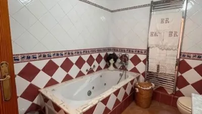 Chalet on Calle Partida del Raspeig photo 27