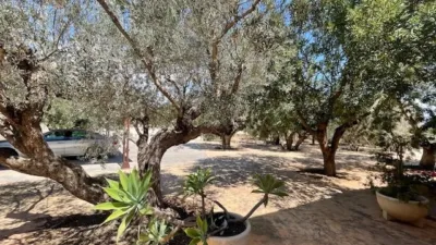 Chalet on Calle Partida del Raspeig photo 48
