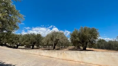 Chalet on Calle Partida del Raspeig photo 57