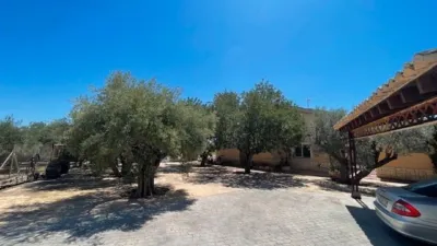 Chalet on Calle Partida del Raspeig photo 58