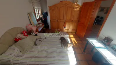 House on Carrer de la Sardana, 843 photo 21