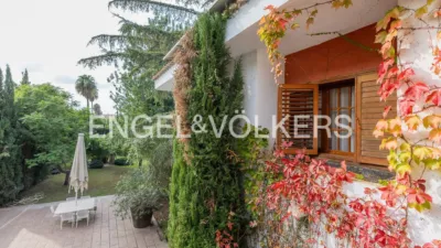 Villa in Chiva photo 80