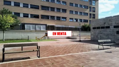 Miniatura 10