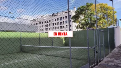 Miniatura 11