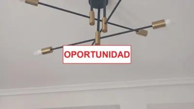 Miniatura 12