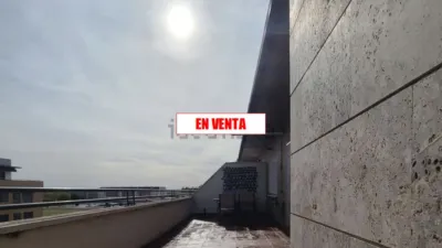 Miniatura 11