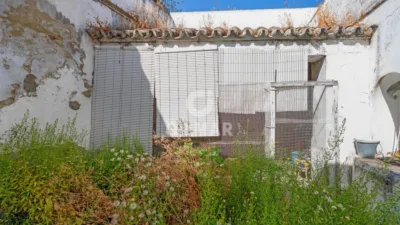Chalet in Bornos photo 16