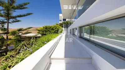 Chalet in Zahara de los Atunes photo 4