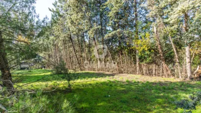 Chalet in Monterrozas-Parquerrozas photo 17
