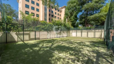 Apartment in Alameda de Osuna photo 30