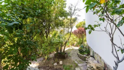 Chalet in Galapagar photo 8