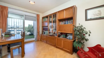 Chalet in Palomas photo 12