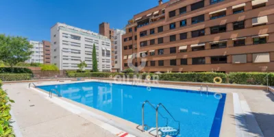 Apartment in Las Tablas photo 10