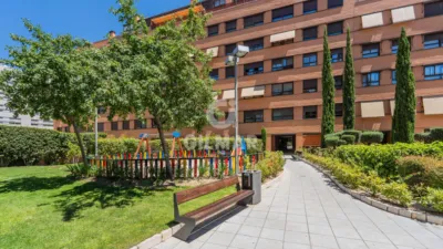 Apartment in Las Tablas photo 9