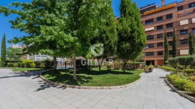 Apartment in Las Tablas photo 8