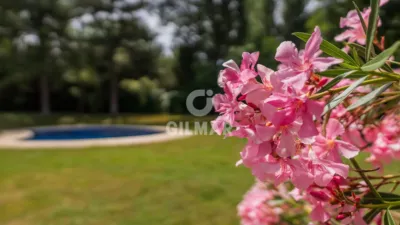Chalet in Somosaguas photo 10