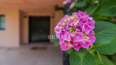 Chalet in Somosaguas photo 74