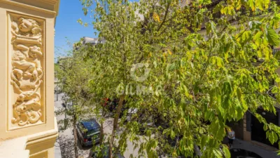 Apartment in Goya photo 31