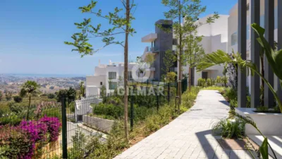 Apartment in La Mairena photo 57