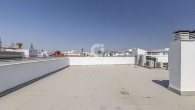 Apartment in Seville Centre photo 29