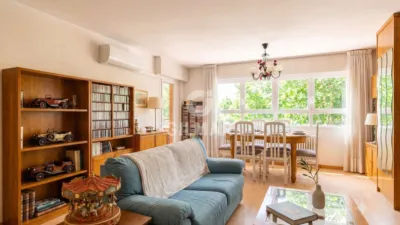 Apartment in Barrio del Pilar photo 3