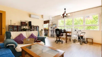 Apartment in Barrio del Pilar photo 12