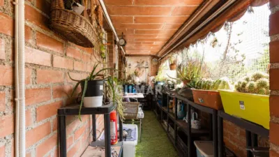 Apartment in Barrio del Pilar photo 18