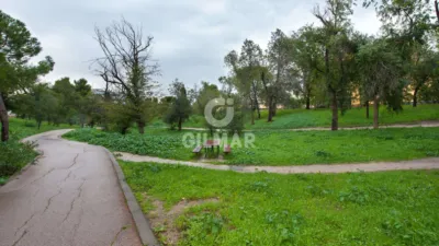 Flat in Rejas photo 5