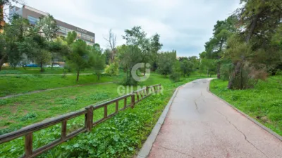 Flat in Rejas photo 6