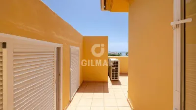 Apartment in Río Real photo 34