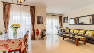 Semi-detached house in Arcos de La Frontera photo 27