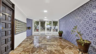 Apartment in El Porvenir photo 41