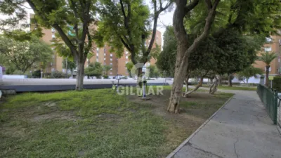 Apartment in El Porvenir photo 40